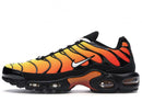Air Max Plus Tn1 “Tiger”