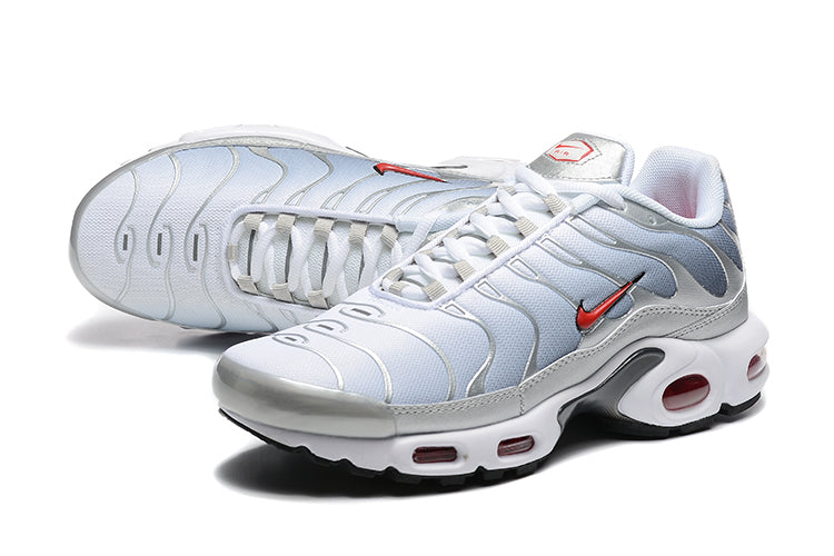 Air Max Plus TN 1 “Silver”