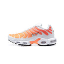 Air Max Plus TN 1 “Gradiente”