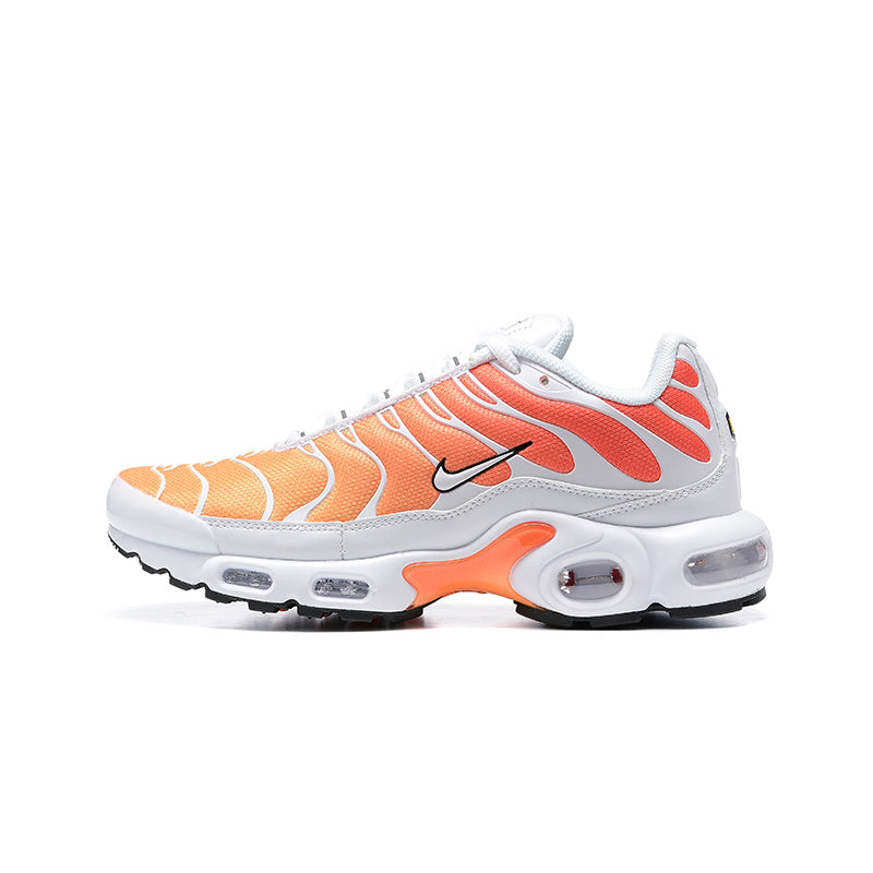 Air Max Plus TN 1 “Gradiente”